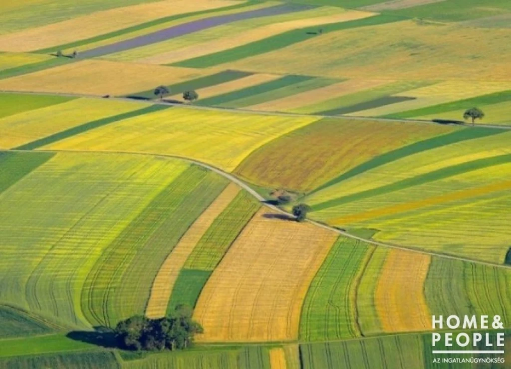 Cegléden szántó eladó!