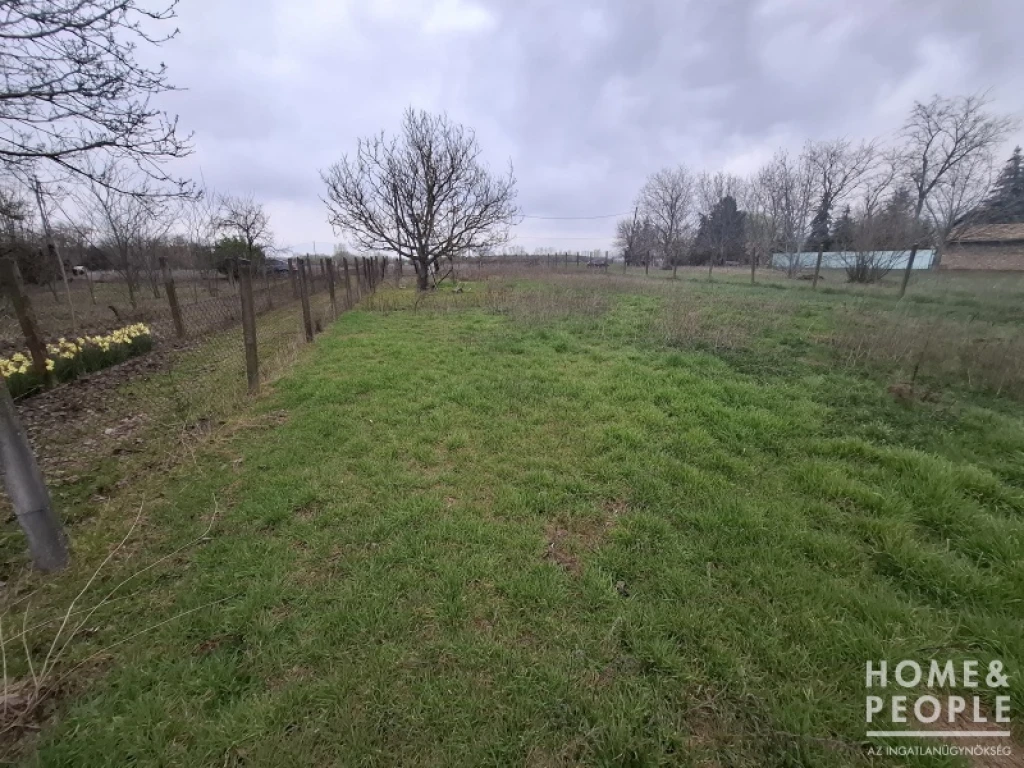 Szatymazon telek eladó!