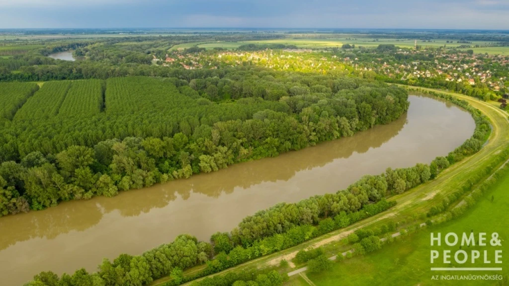 c3-1-name c2-50-name, Szeged, Szentmihálytelek