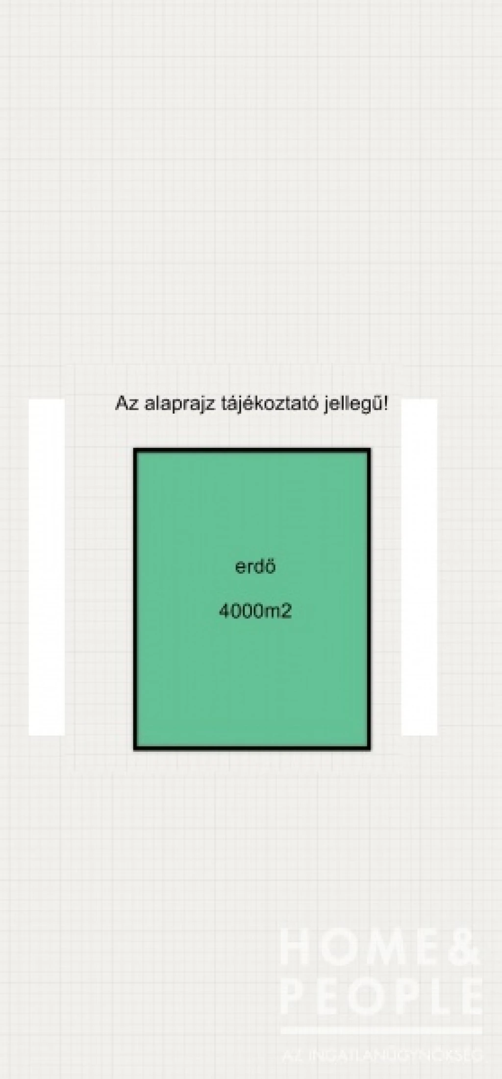 Eladó erdő Sándorfalván!