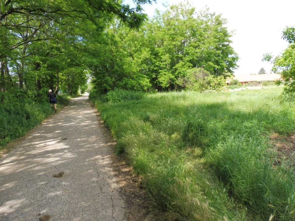 For sale periphery plot, Nyíregyháza, Akácos