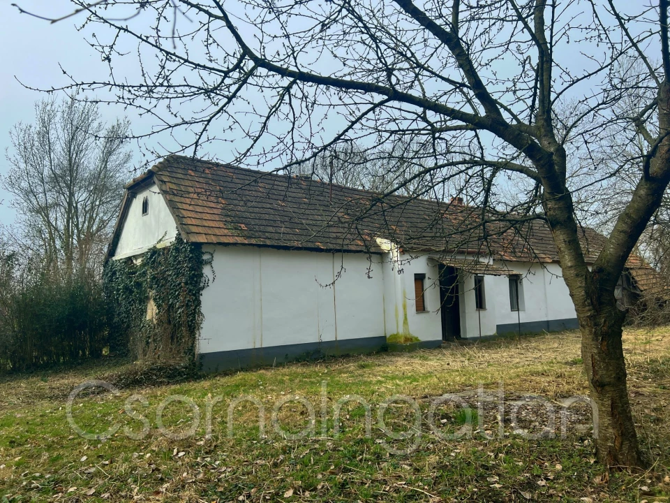 For sale house, Pásztori