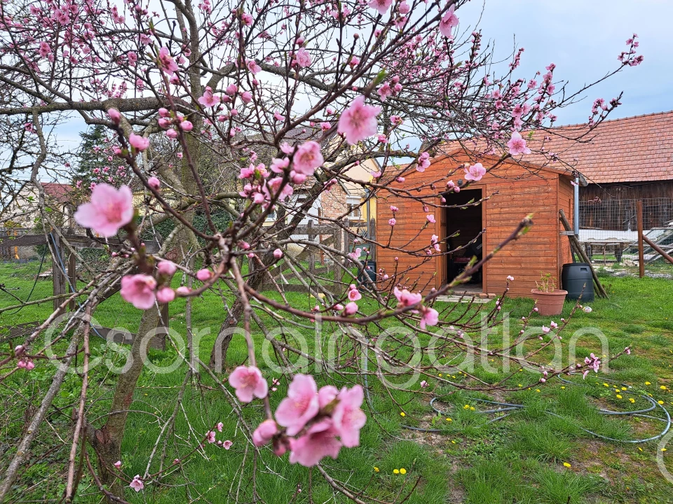 For sale building plot, Rábapordány