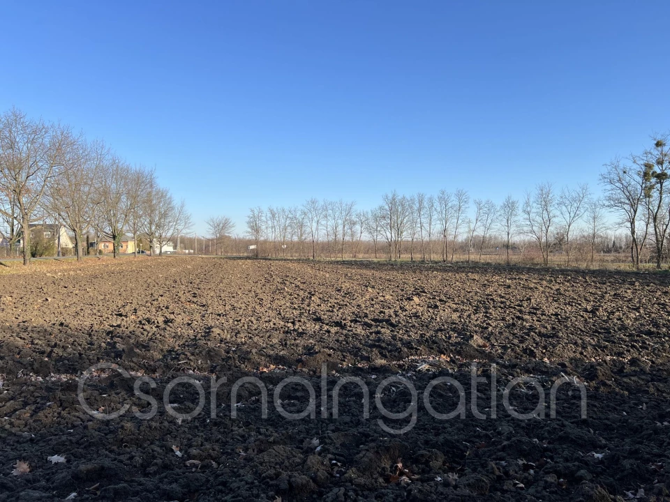 For sale periphery plot, Szombathely