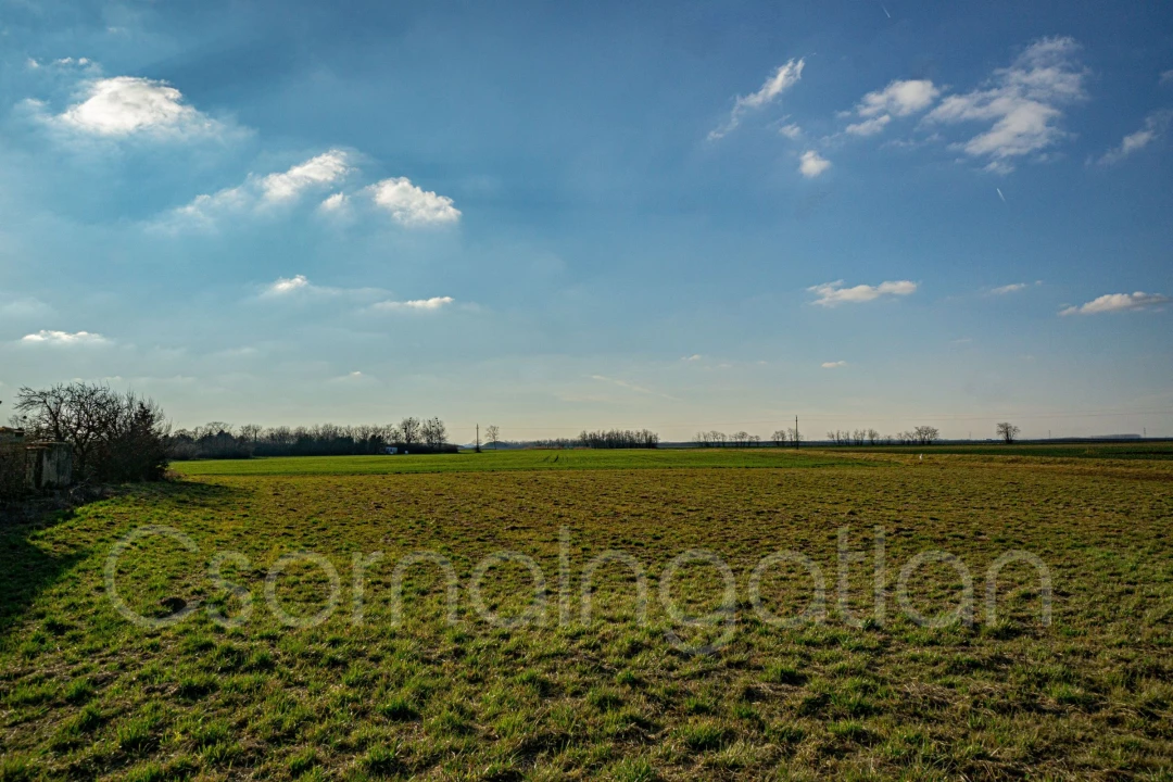 For sale building plot, Páli