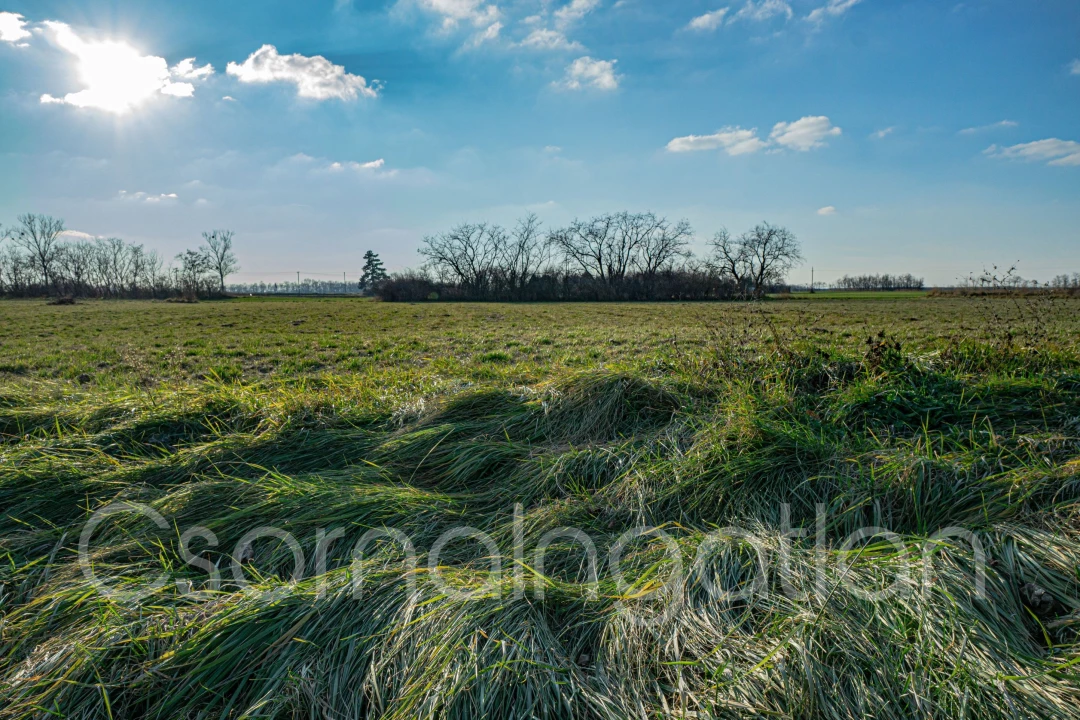 For sale building plot, Páli