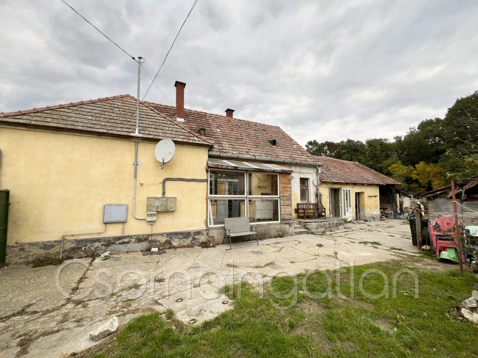 c3-1-name c2-1-name, Szany