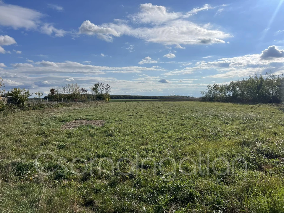 Eladó építési telek, Farád