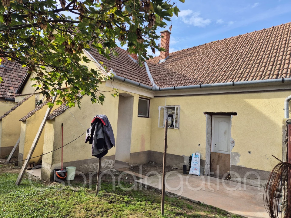 c3-1-name c2-1-name, Szany