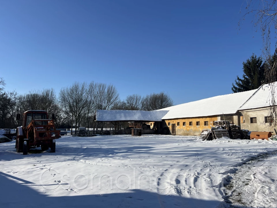 For sale other agricultural, Potyond