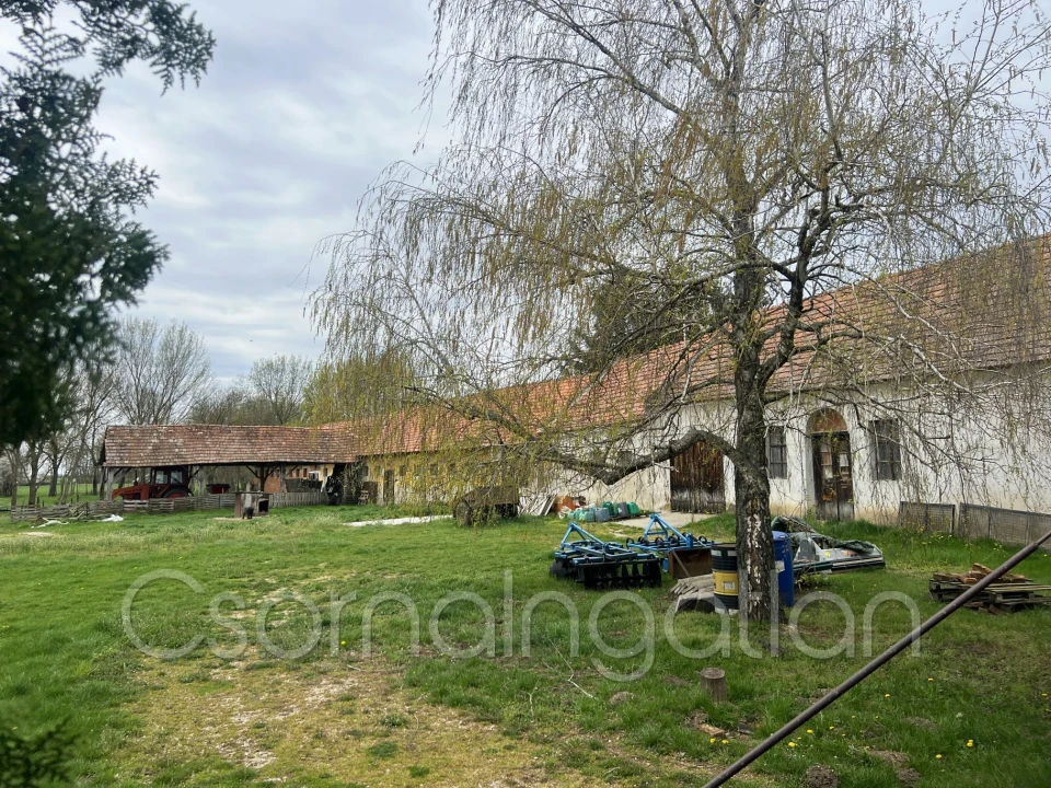 Eladó egyéb mezőgazdasági ingatlan, Potyond