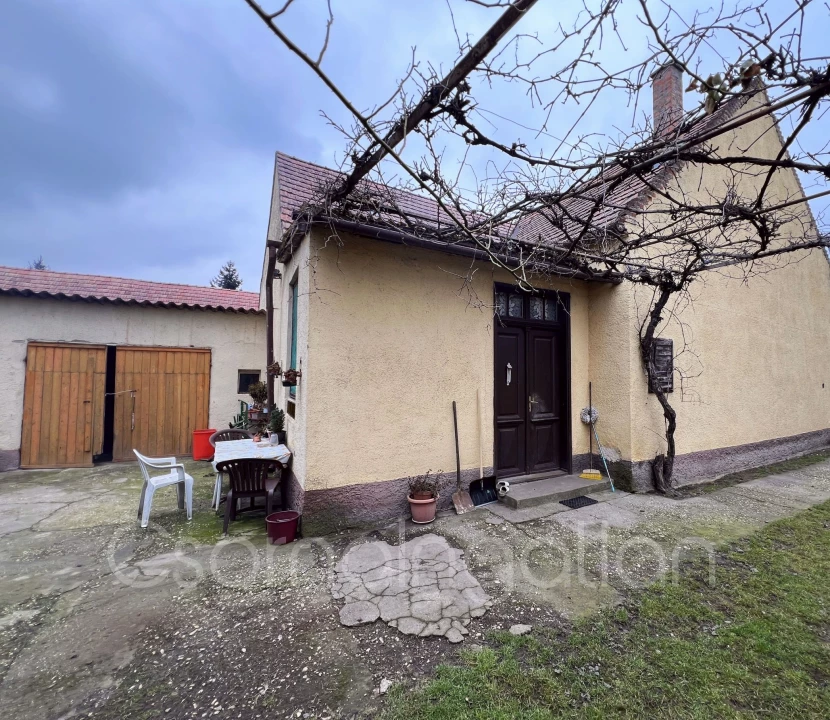 c3-1-name c2-1-name, Szany