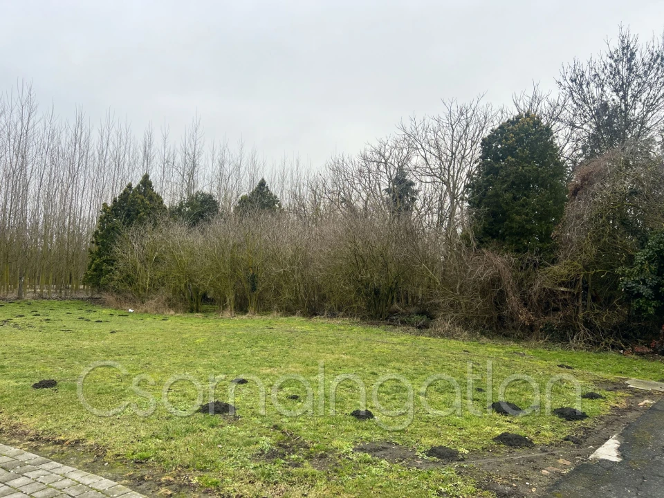 Eladó építési telek, Tárnokréti