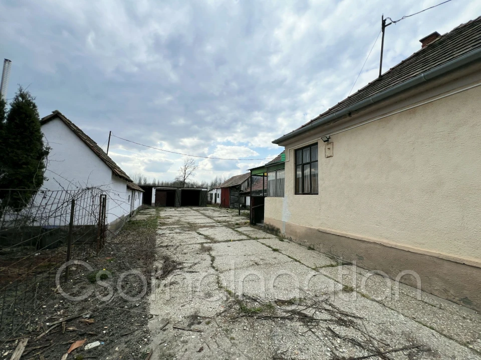 c3-1-name c2-1-name, Szany