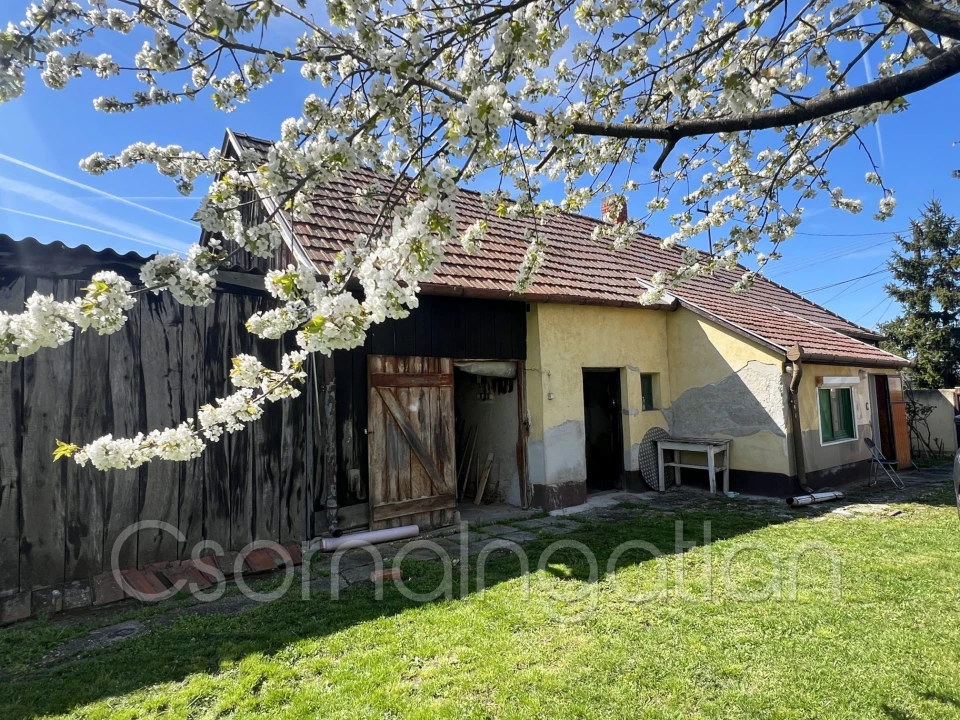 c3-1-name c2-1-name, Csorna