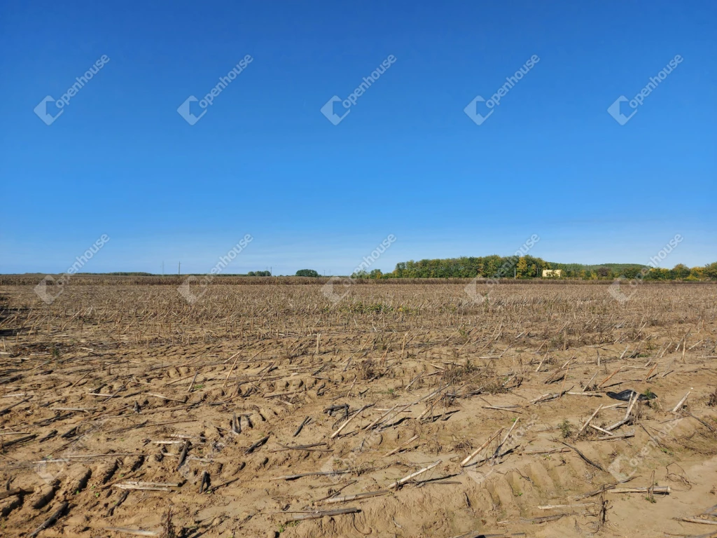 For sale plough-land, pasture, Debrecen, Lencztelep