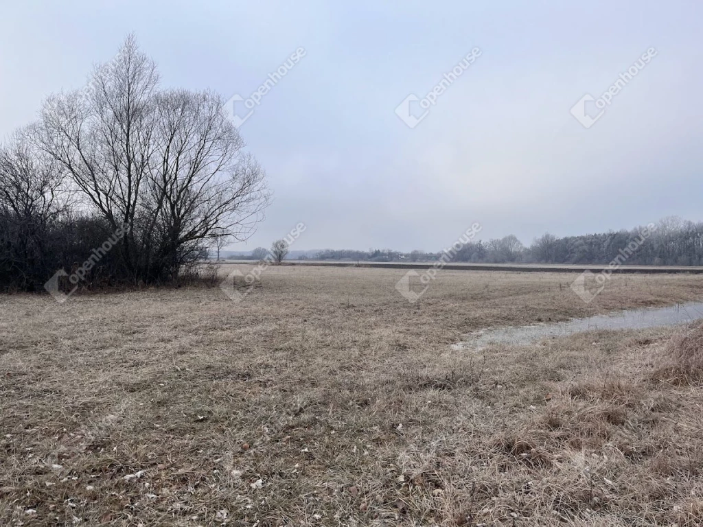 For sale plough-land, pasture, Debrecen, Bánk