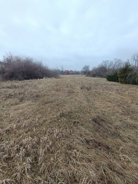 c3-1-name c2-50-name, Székesfehérvár