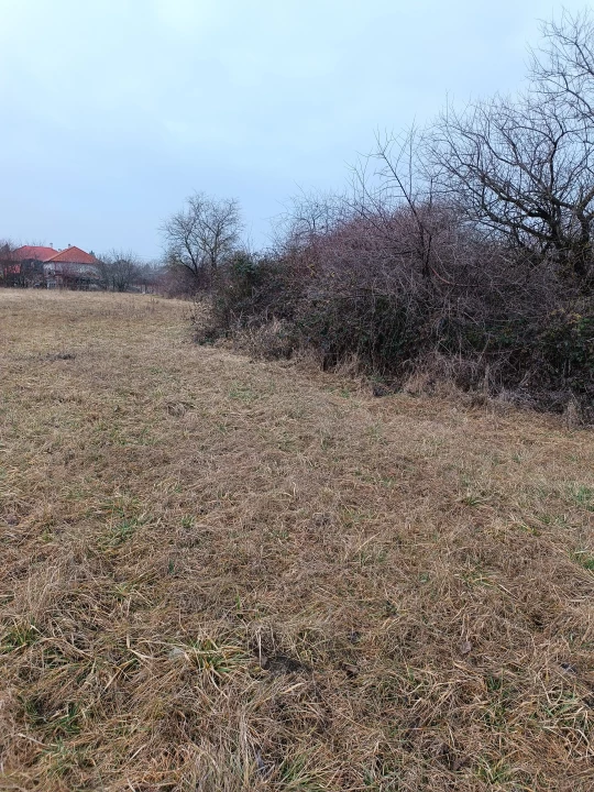 c3-1-name c2-50-name, Székesfehérvár