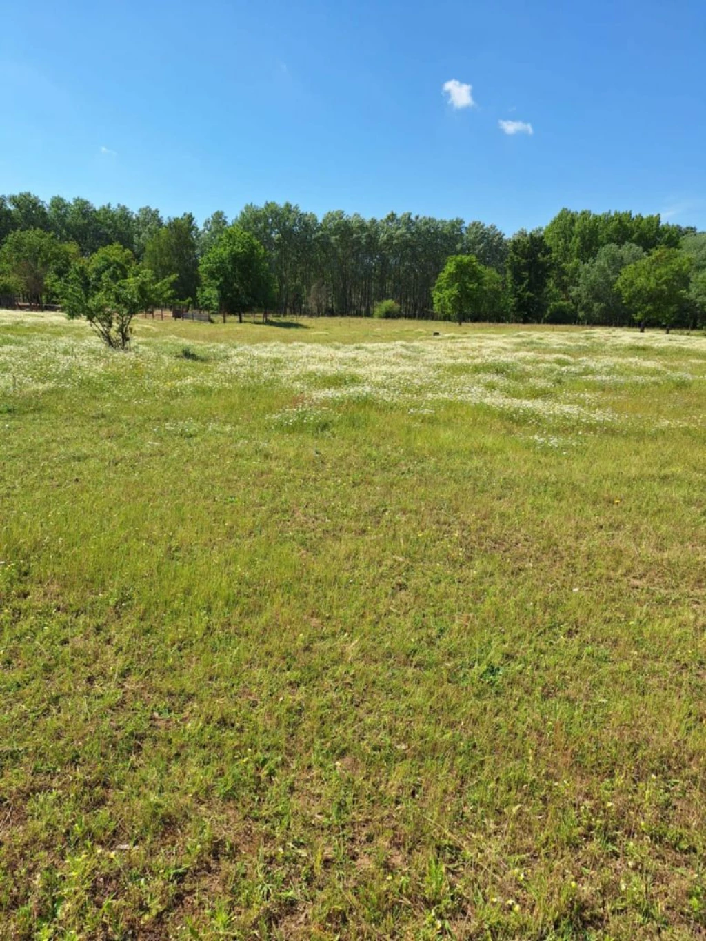 Vekeri tó közelében, 2000 m2 es telek eladó
