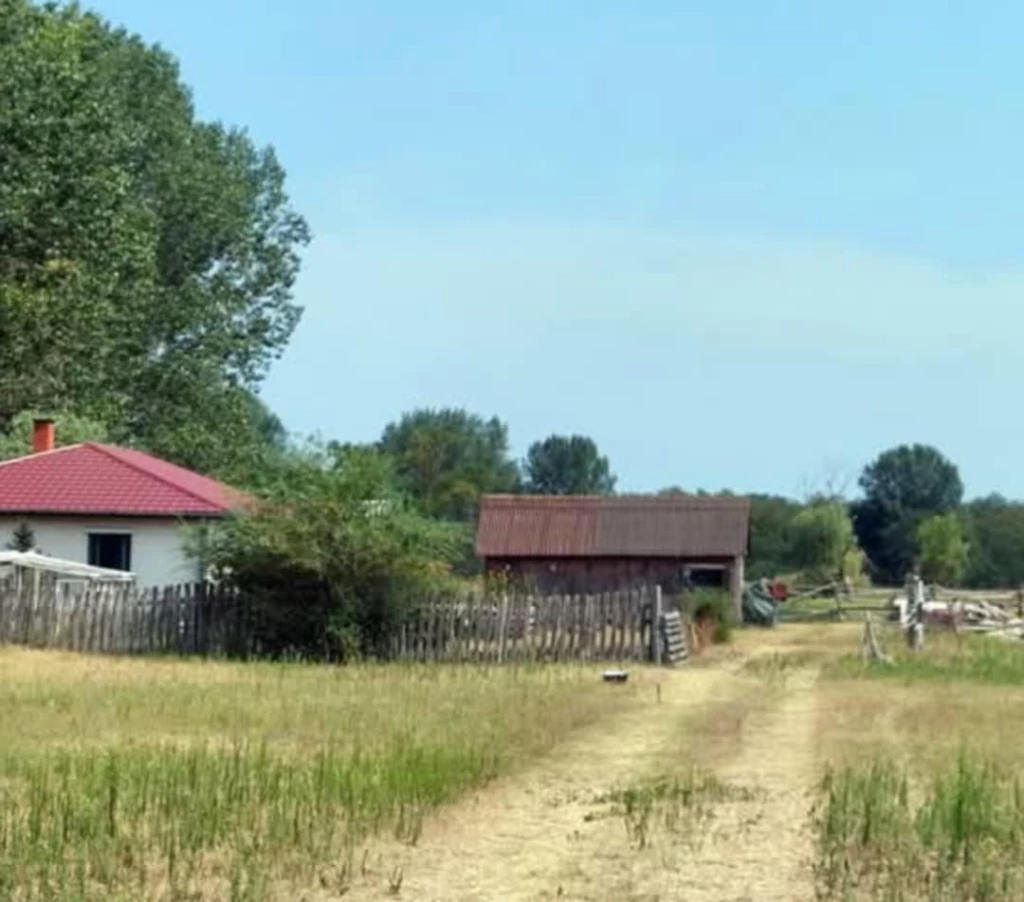 c3-1-name c2-55-name, Debrecen, Bayk András kert