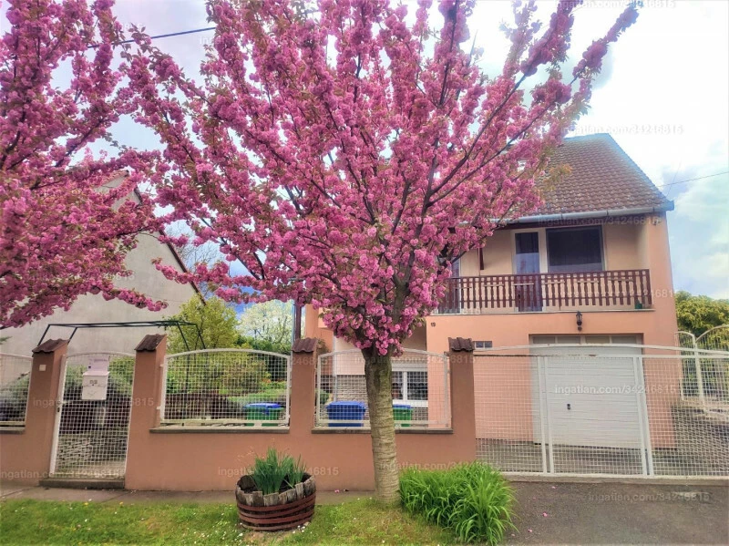 For sale house, Nagykozár