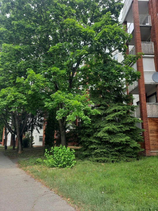 Eladó panellakás, Pécs