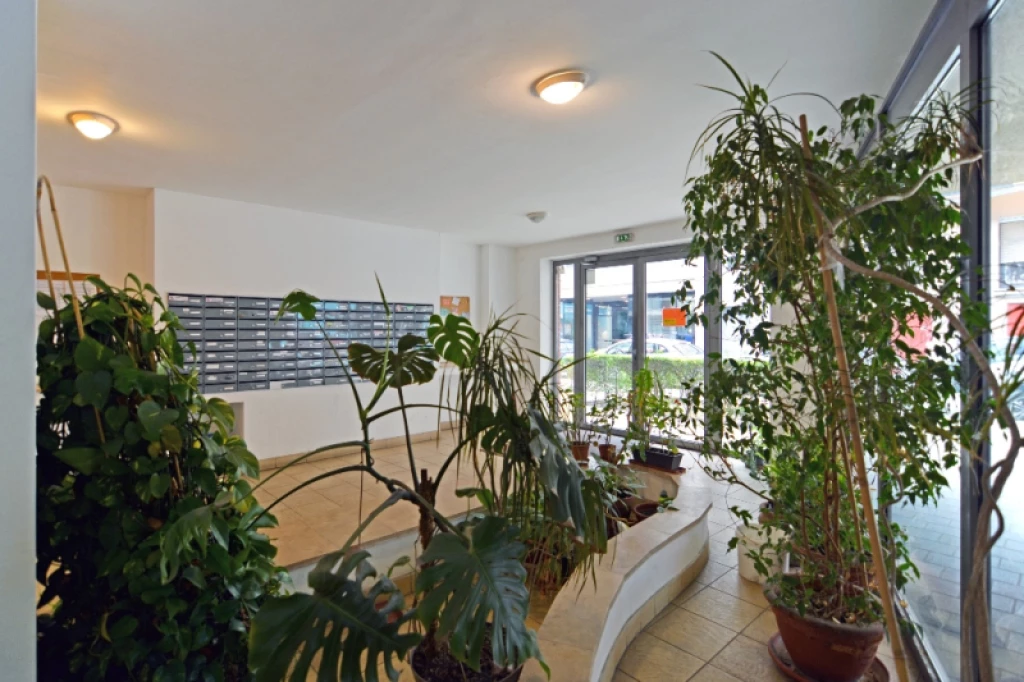 Kiadó iroda, irodaház, Budapest IX. kerület, Belső Ferencváros, Mester utca