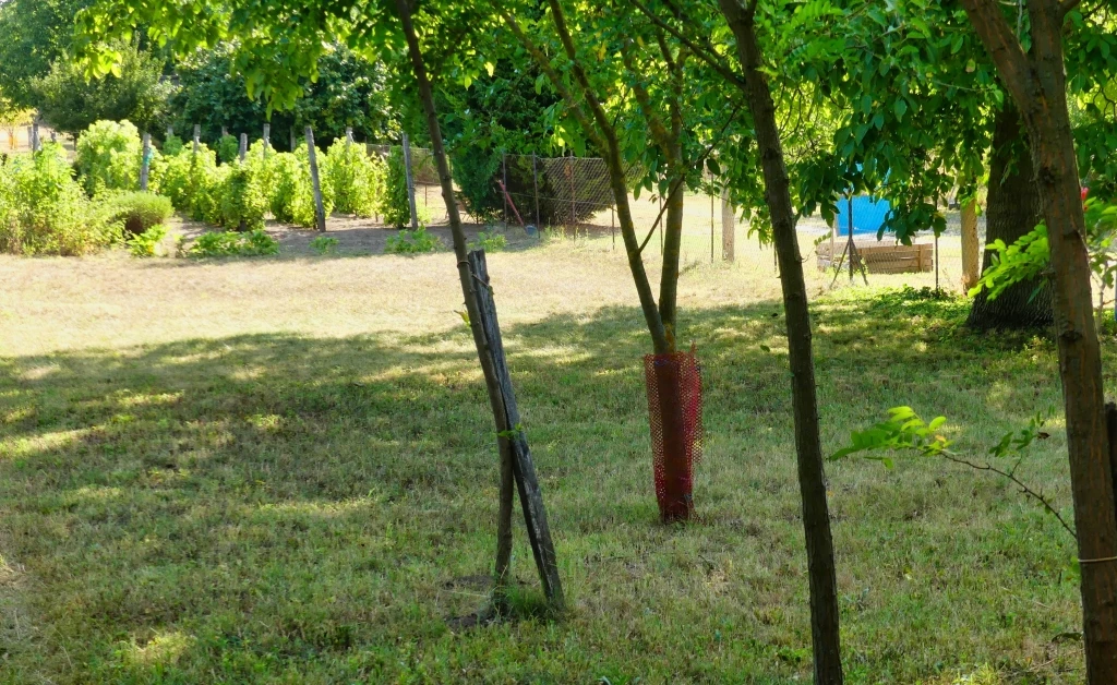 For sale plough-land, pasture, Pátka, Zártkert