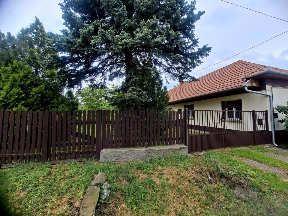 c3-1-name c2-1-name, Mezőkövesd
