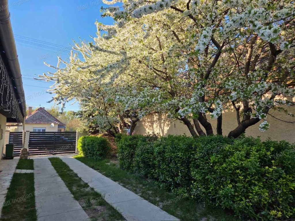 c3-1-name c2-1-name, Neszmély