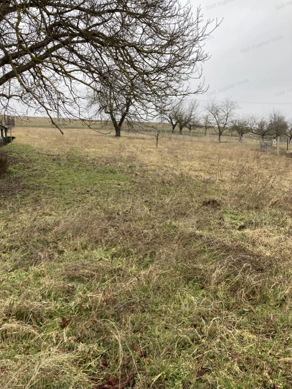 For sale building plot, Óbarok, Nagyegyháza