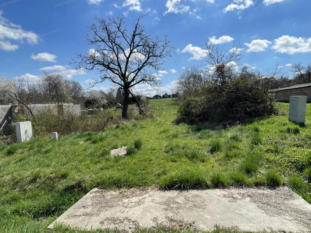 c3-1-name c2-50-name, Tardos