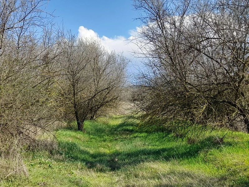 Eladó szántóföld, legelő, Jakabszállás