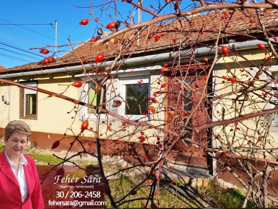 For sale house, Lakitelek