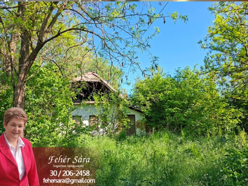 Eladó tanya, Szarvas
