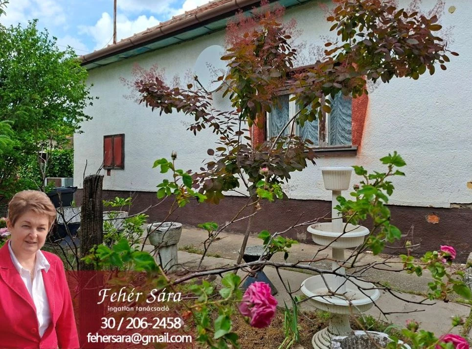 Eladó családi ház, Lakitelek