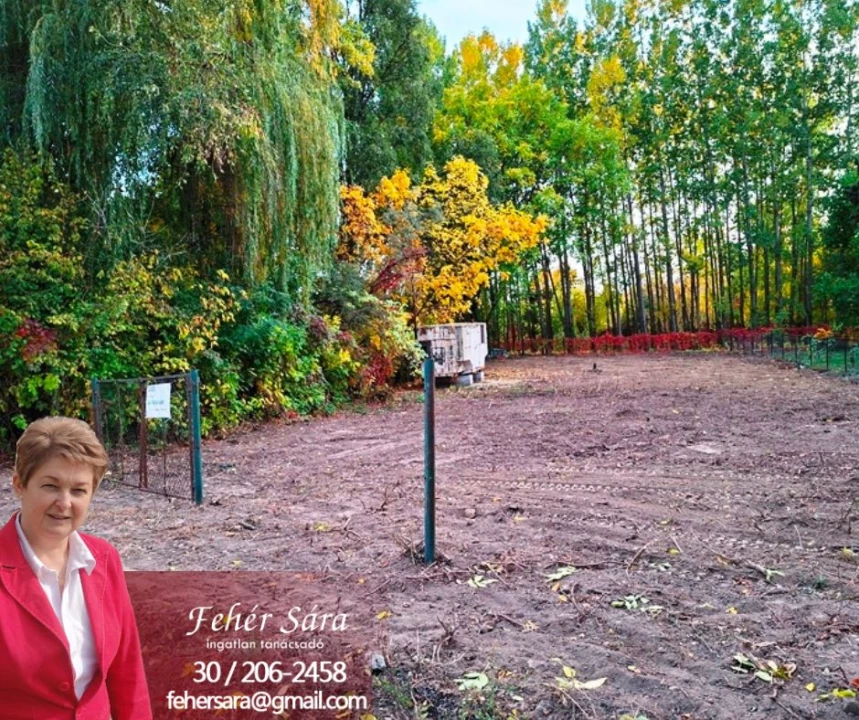 For sale periphery plot, Tiszaug