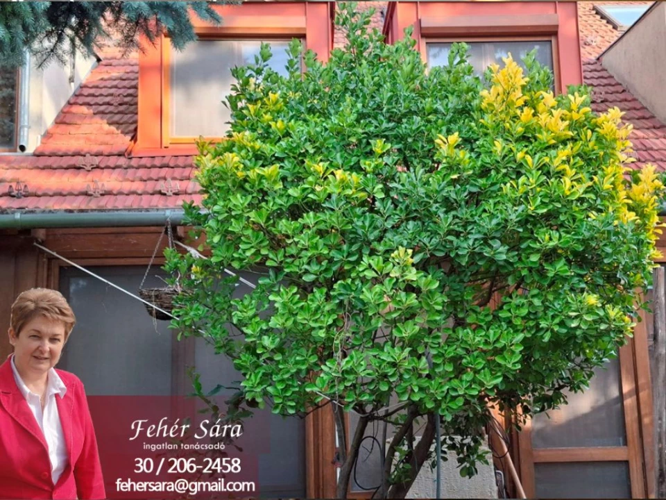 For sale terraced house, Kecskemét