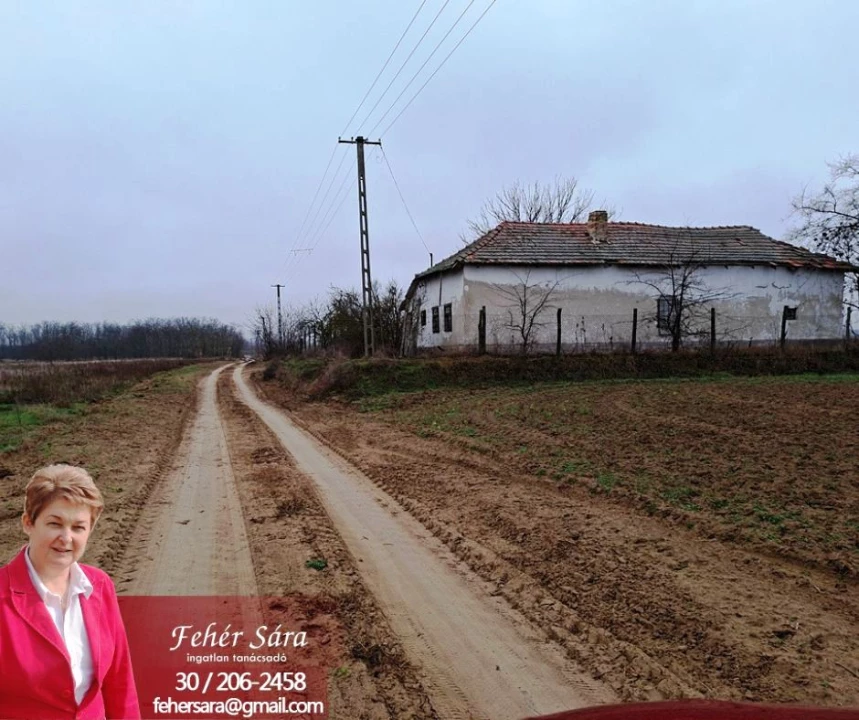 Eladó tanya, Tiszakürt