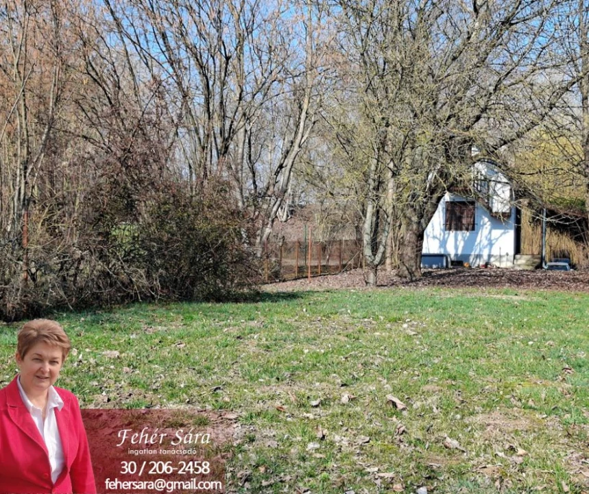 For sale other house, Tiszaug