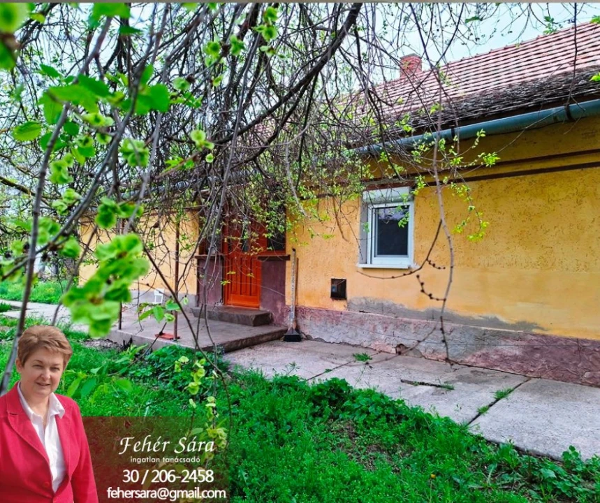 Eladó családi ház, Szelevény