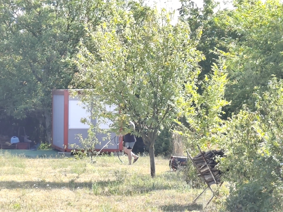 Eladó gyümölcsös, szőlő, Sopron, Nyugati major