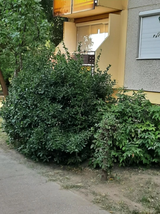 For sale panel flat, Debrecen