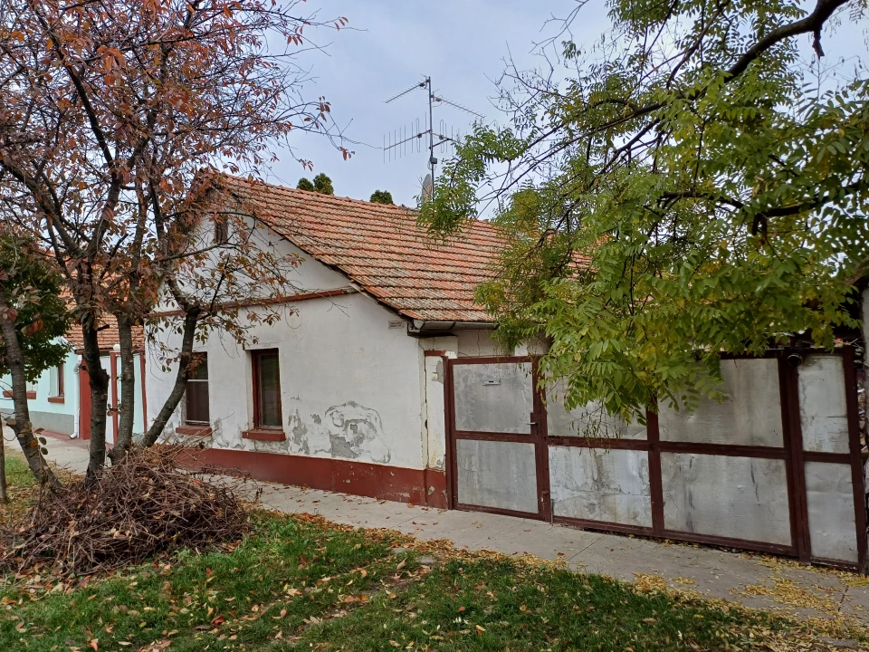 For sale house, Makó