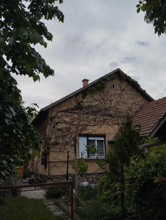 For sale house, Csanádpalota