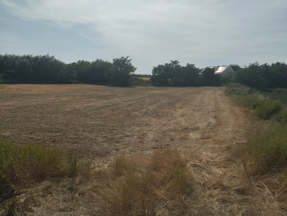 For sale building plot, Makó