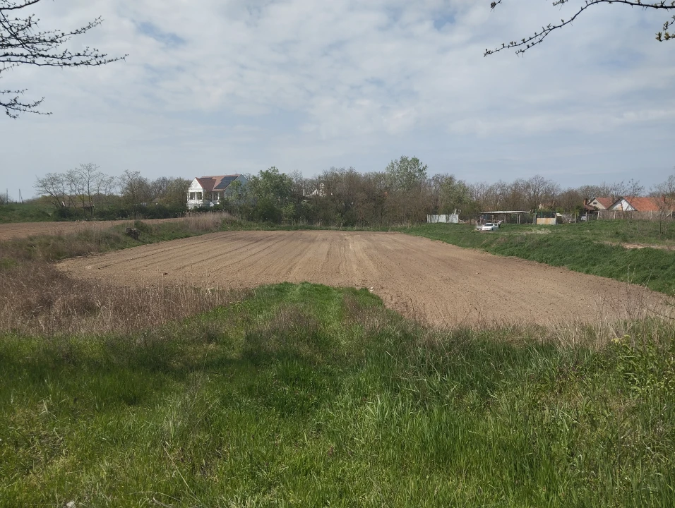 Eladó építési telek, Makó