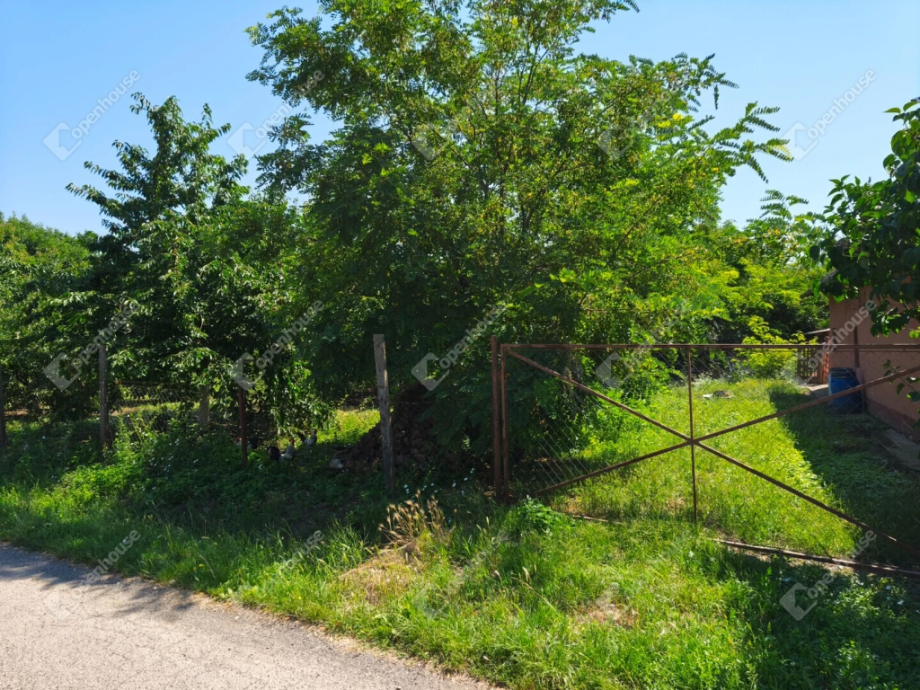 Klárafalván, telek 583 nm-s,  gondozott, gyümölcsfákkal és növényekkel van beültetve.
