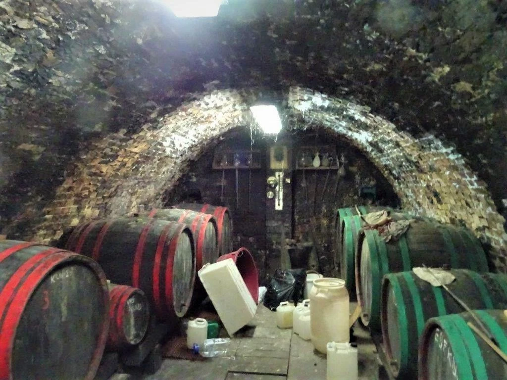 c3-1-name c2-1-name, Siójut